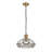 Hanging Glass Shade Ceiling Light Adjustable Height