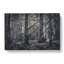 Pine Tree Forest - Wrapped Canvas-56639805