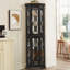 Vitrine de coin lumineuse - étagère en verre avec portes en verre trempé, tablettes réglables et ampoule à perles incluse - armoire de bar idéale pour la décoration intérieure - NOIR