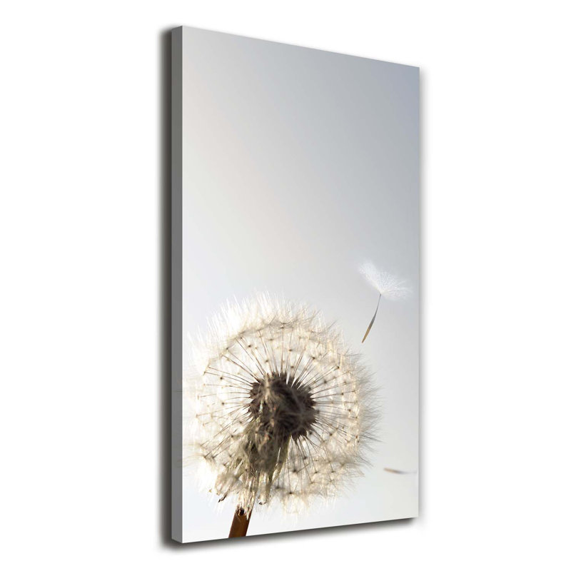 Dandelion - Wrapped Canvas Print