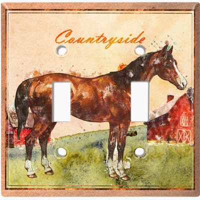 Plaque d'interrupteur en métal