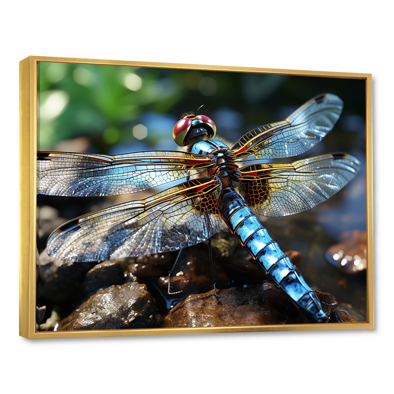 «Blue Fluttering Dragonfly I», art mural libellule, Cadre flottant doré, H 30 po x l 40 po x P 1,5 po