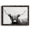 Highland Longhorn - Cadre flottant, reproduction de photo sur toile-557251495-557251679