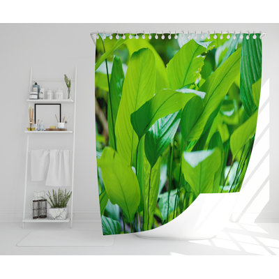Ellawese Polyester Shower Curtain