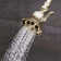 6 Jet 2.5 GPM Multi Function Adjustable Shower Head