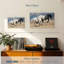 Black And White Horses-106322901