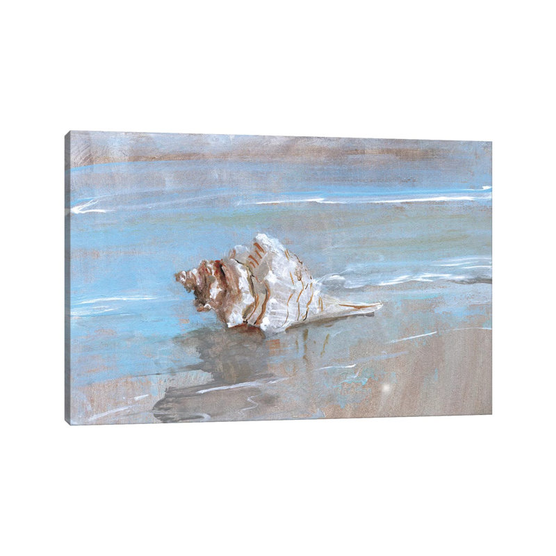 Shore Shell I by Sally Swatland - Wrapped Canvas Print, 101.6 cm H x 66.04 cm W x 1.91 cm D