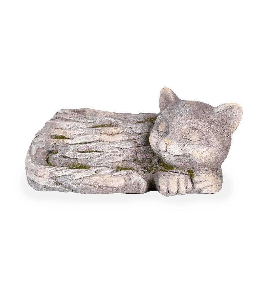 Wind & Weather Sleeping Kitten Indoor/Outdoor Statue Planter | Wayfair