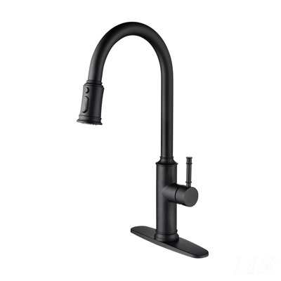 Versatile Kitchen Faucet with Pull Out Spray, High-Arc Nozzle, and Single Handle for Easy Temperature Control