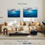 Baleine bleue Brampt-107688009