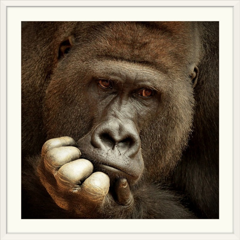 «Sense of Life» par Antje Wenner-Braun, reproduction de photo de Straub, H 28 x l 28 po x P 1 po, Cadre blanc