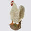 Ethridge Bird Plastic Garden Statue