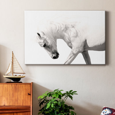 Neutral Stallion - Photographie sur toile tendue