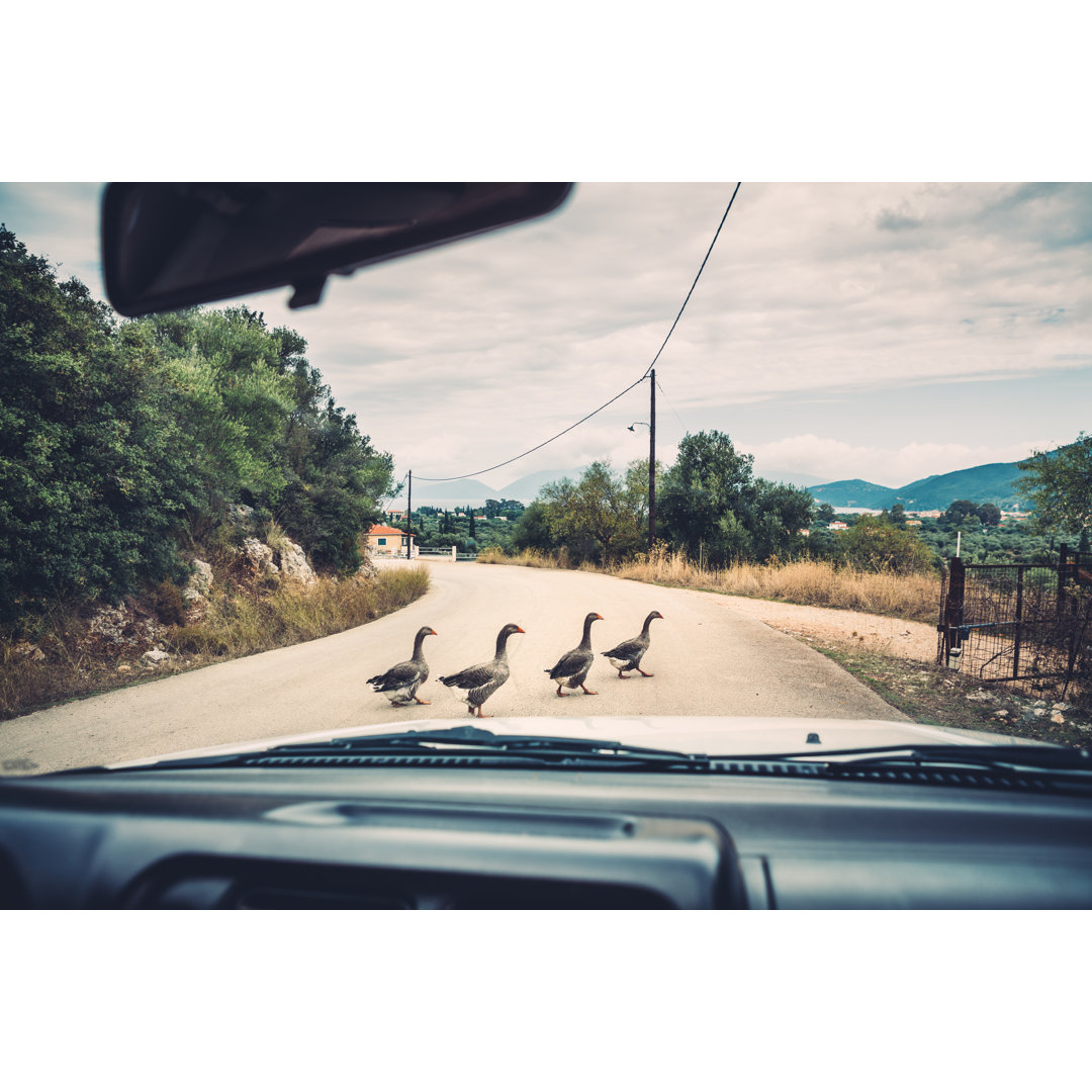 Gruppe von Enten, die die Straße überqueren von Borchee - Druck auf Leinwand ohne Rahmen