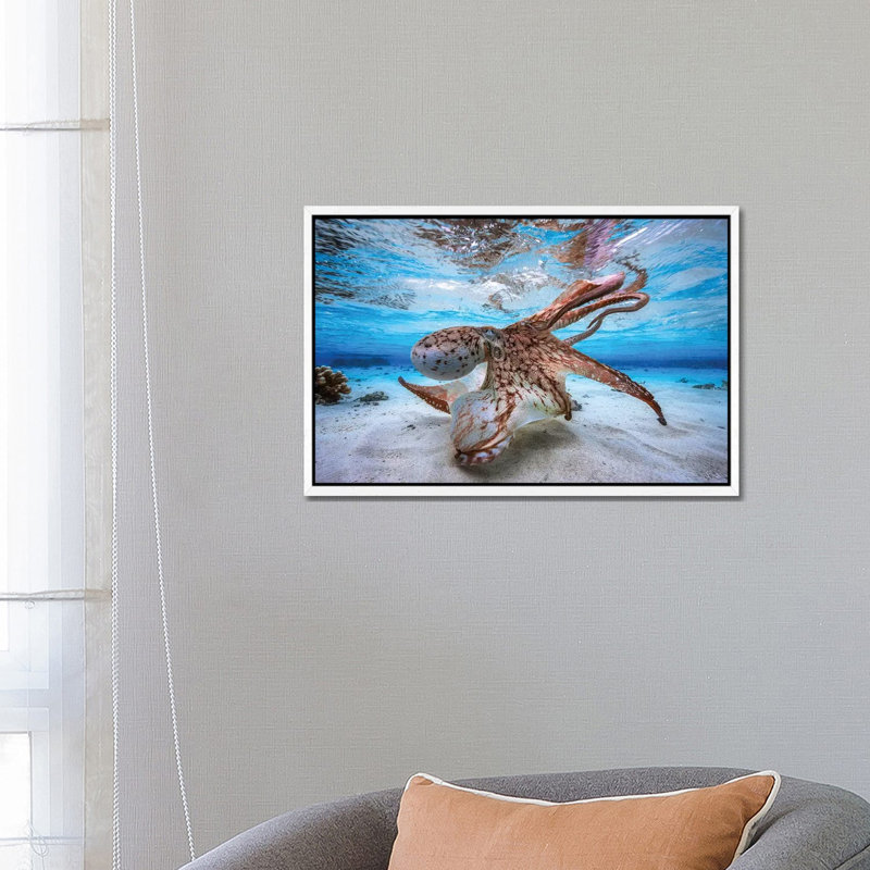 Dancing Octopus by Barathieu Gabriel - Print on Canvas, 66.04 cm H x 45.72 cm W, White Framed