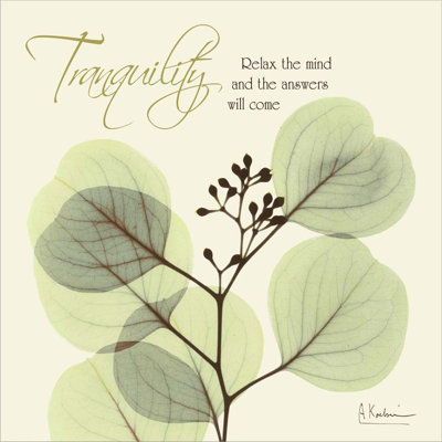 Décoration murale Tranquility