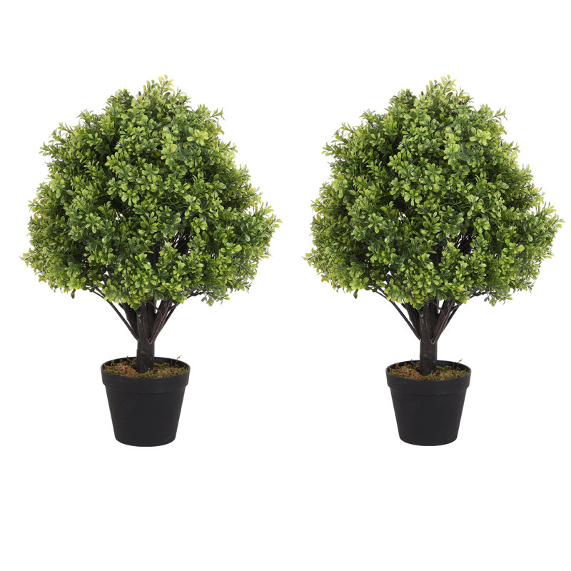 Hallam 24-Inch Indoor or Outdoor Faux Boxwood Topiary in Pot