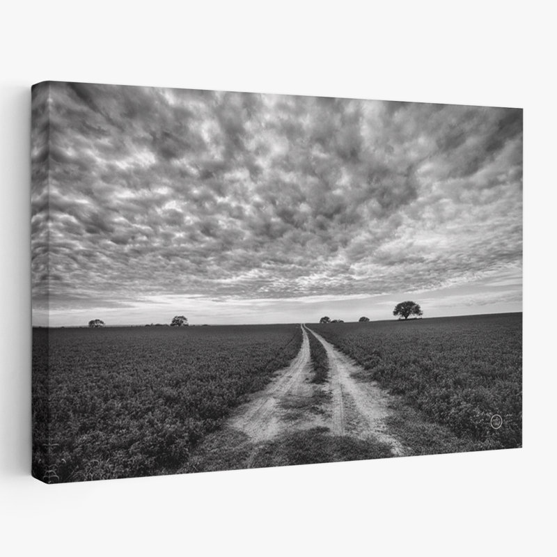 Contemporary Farm Road, H 48 po x l 32 po