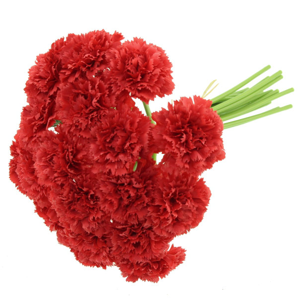 Carnation Arrangement, Red