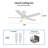 52'' Ceiling Fan with LED Lights-622809622