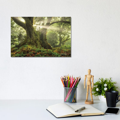 One-Two Tree by Martin Podt - Wrapped Canvas Gallery-Wrapped Canvas Giclée