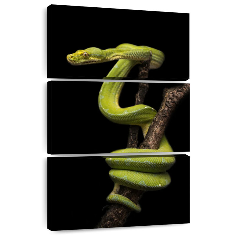 Brampt Python Wrapped Around A Branch, 45" H x 28" W