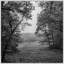 Nature Preserve Print by Lillian August