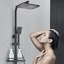 Système de douche thermostatique complet avec valve brute