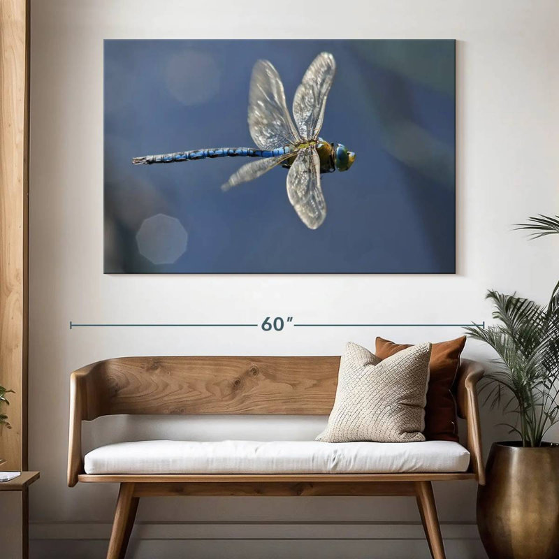 Brampt Flying Emperor Dragonfly, 34" H x 51" W