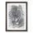 Walnut Framed selected