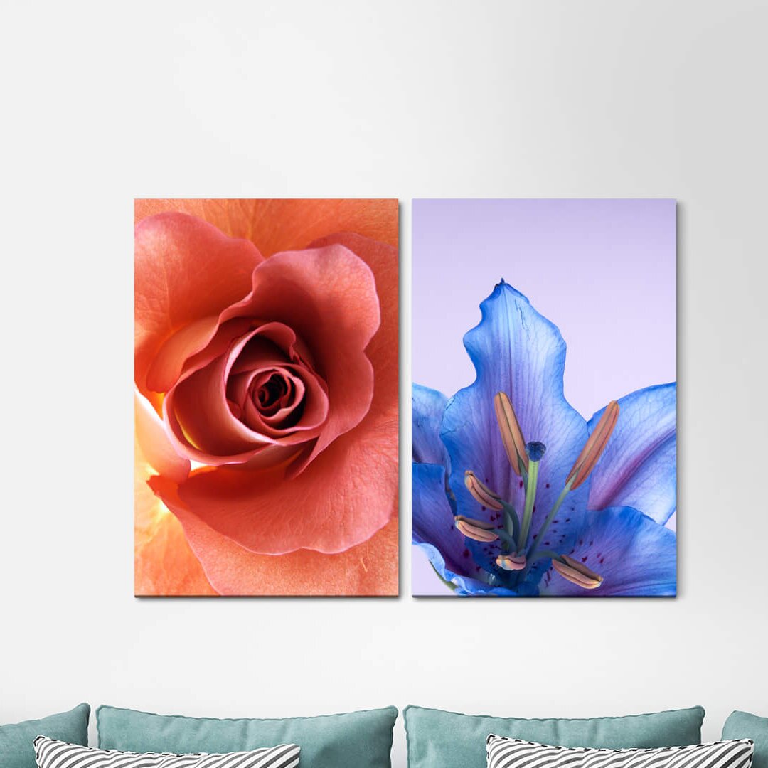 2-tlg. Leinwandbilder-Set - Fotografie „Rose Blossom Flowers Blue Blossom Summer Scented”