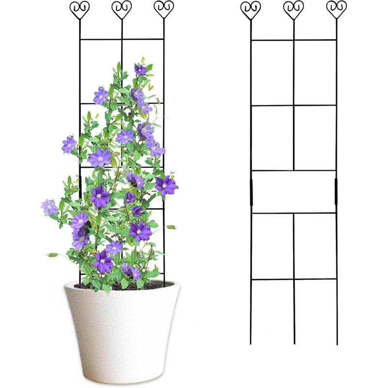 Paquet de 2 treillis 30 po en métal pour plante - Support antirouille noir thermolaqué pour plantes grimpantes d'intérieur et d'extérieur