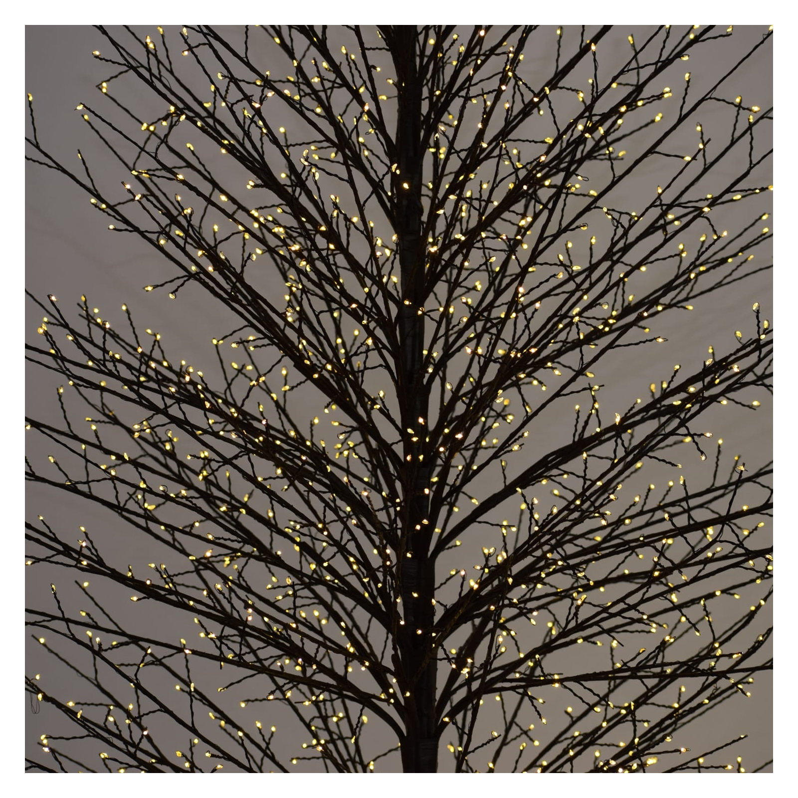 Birch Tree with Warm White LED Lights, Black, 82" H x 19.2" L x 19.2" D