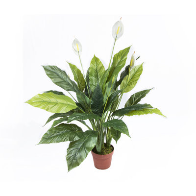108 cm H Faux Banana Leaf Plant in Plastic Pot