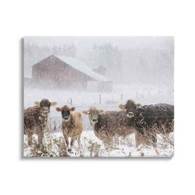 " Winter Farm Scene Cow Cattle Snowflakes Barn " by Lori Deiter