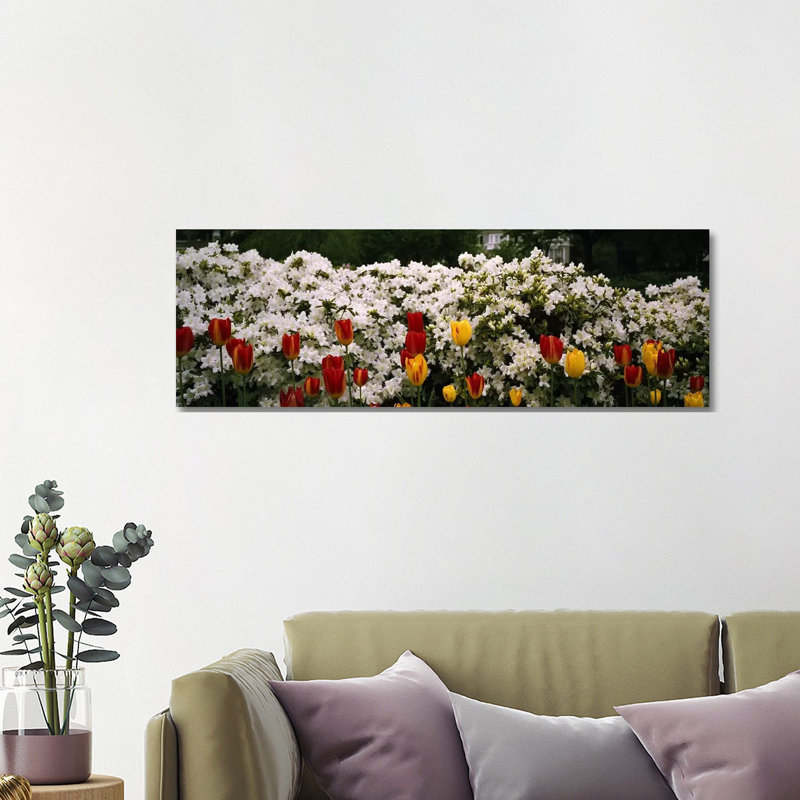 Flowers In A Garden, Sherwood Gardens, Baltimore, Maryland, USA - Wrapped Canvas Panoramic Print