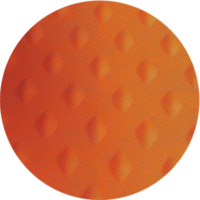 Indoor Rug