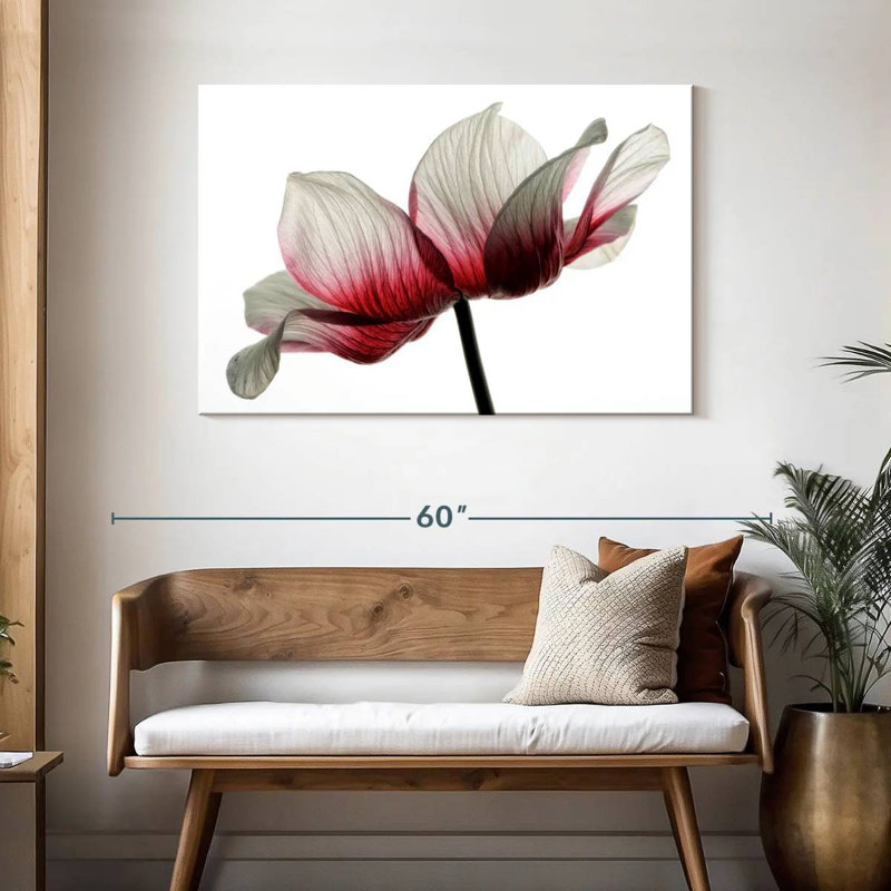 Harnek Red And White Ranunculus, 30" H x 45" W