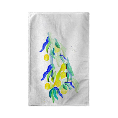 Dish Cloth Kitchen Towel