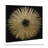 " Abstract Sunburst Golden Night "-51241194-51241196-119864311