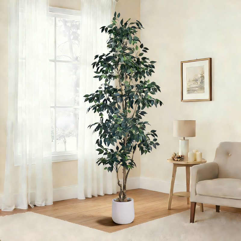 Faux Ficus Tree in Pot, 213.4 cm x 24.9 cm