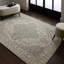 Adonica Oriental Wool Hand Woven Area Rug-33982479