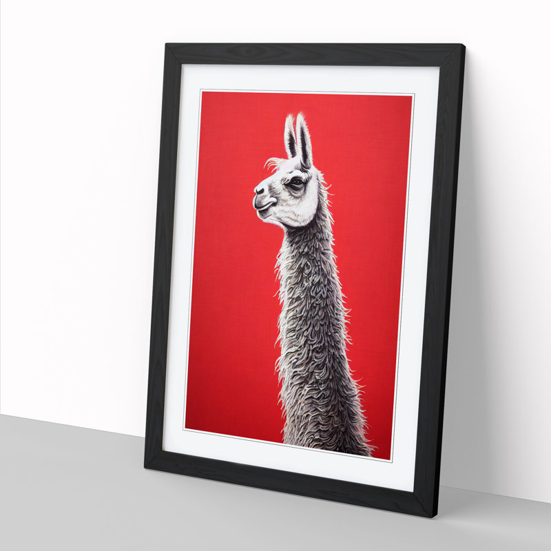 Llama Portrait Vol.2 - Single Picture Frame Print, Black, 64cm H x 46cm W x 2cm D