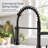 Pull Down Single Handle Kitchen Faucet with Accessories-70472616