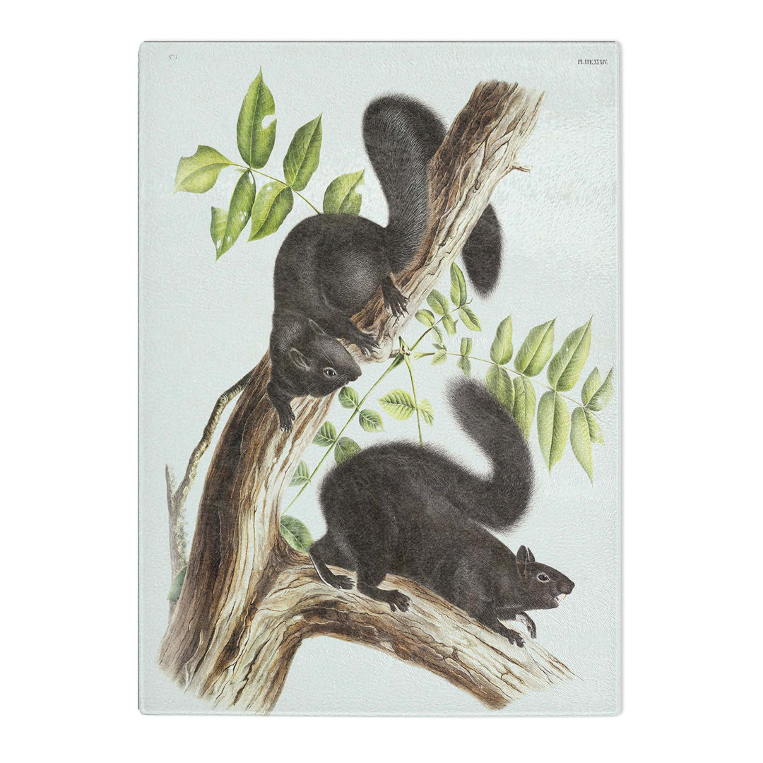 Tempered Glass Black Squirrels by J.W. Audubon Chopping Board
