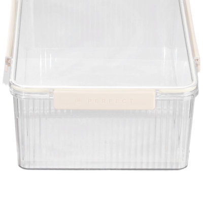 Rebrilliant Plastic Storage Tub & Tote
