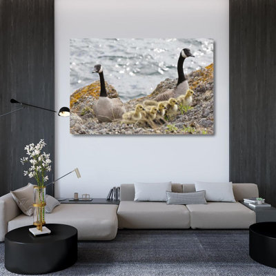 Hokku Designs Paulson, Don Gallery Wrapped Canvas Art Titled: WA, San Juans Canada geese with goslings