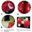 Romantiques rubis, fraise et sonate II - fruits, art mural-668048525