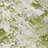Caelan Green Washable Indoor-Outdoor Rug - -883412603