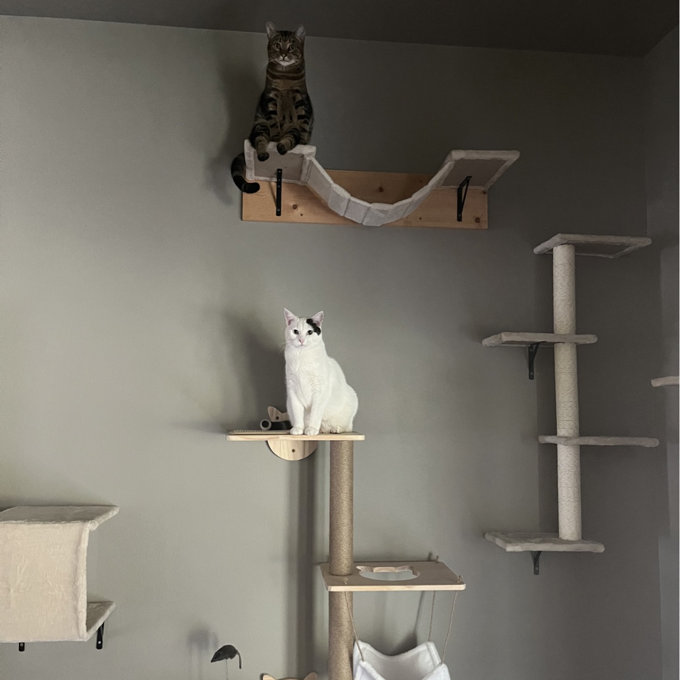 CoolEx 50 Inch Wall Mounted Cat Tree - 4 Tier Cat Shelves With Scratcher Post, Plush Pad, For Indoor Cats